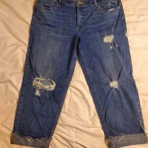 Maurices sz 16 capris